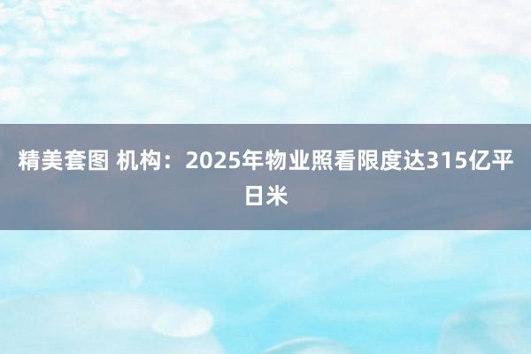 精美套图 机构：2025年物业照看限度达315亿平日米