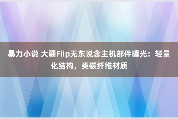 暴力小说 大疆Flip无东说念主机部件曝光：轻量化结构，类碳纤维材质