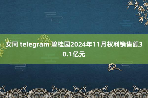 女同 telegram 碧桂园2024年11月权利销售额30.1亿元