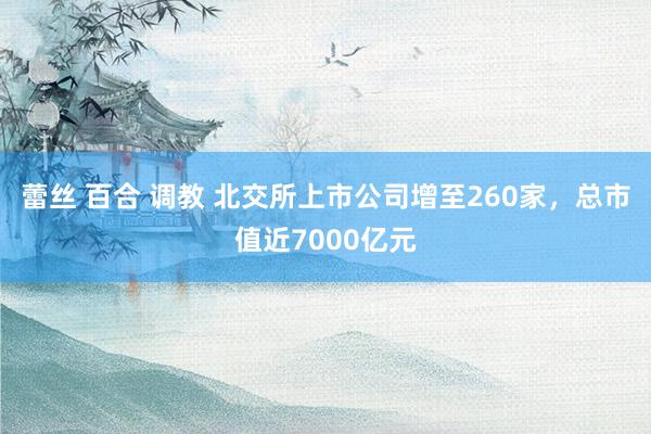 蕾丝 百合 调教 北交所上市公司增至260家，总市值近7000亿元