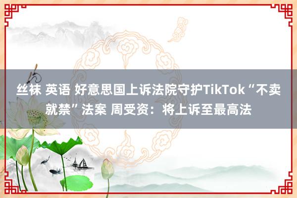 丝袜 英语 好意思国上诉法院守护TikTok“不卖就禁”法案 周受资：将上诉至最高法