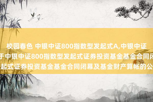 校园春色 中银中证800指数型发起式A，中银中证800指数型发起式C: 对于中银中证800指数型发起式证券投资基金基金合同闭幕及基金财产算帐的公告