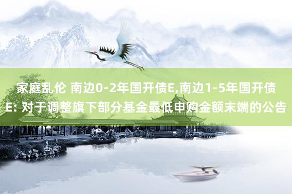 家庭乱伦 南边0-2年国开债E，南边1-5年国开债E: 对于调整旗下部分基金最低申购金额末端的公告