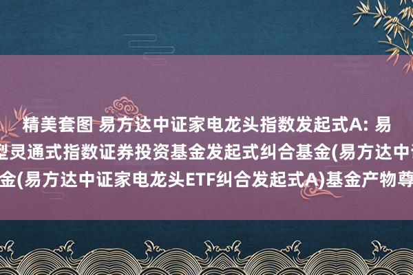 精美套图 易方达中证家电龙头指数发起式A: 易方达中证家电龙头交游型灵通式指数证券投资基金发起式纠合基金(易方达中证家电龙头ETF纠合发起式A)基金产物尊府摘录更新