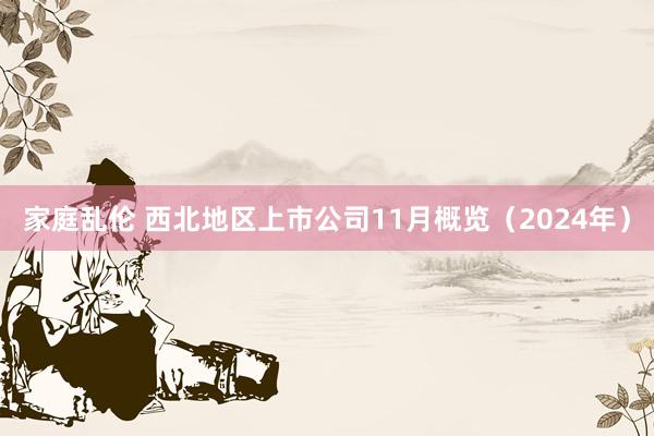 家庭乱伦 西北地区上市公司11月概览（2024年）