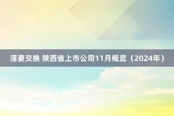 淫妻交换 陕西省上市公司11月概览（2024年）