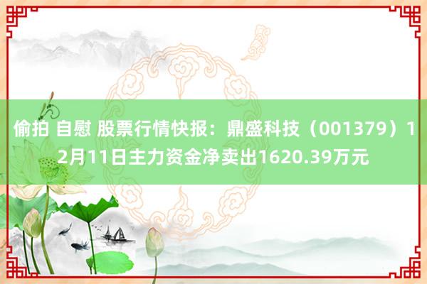 偷拍 自慰 股票行情快报：鼎盛科技（001379）12月11日主力资金净卖出1620.39万元