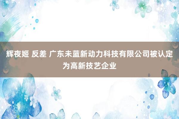 辉夜姬 反差 广东未蓝新动力科技有限公司被认定为高新技艺企业