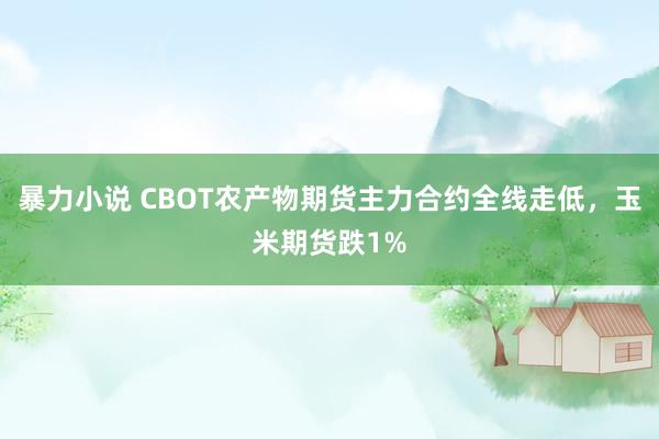 暴力小说 CBOT农产物期货主力合约全线走低，玉米期货跌1%