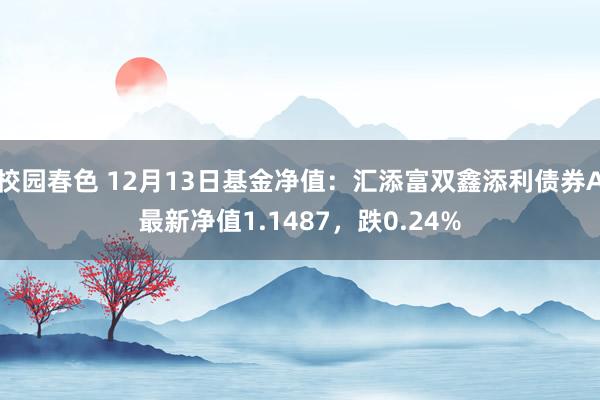 校园春色 12月13日基金净值：汇添富双鑫添利债券A最新净值1.1487，跌0.24%