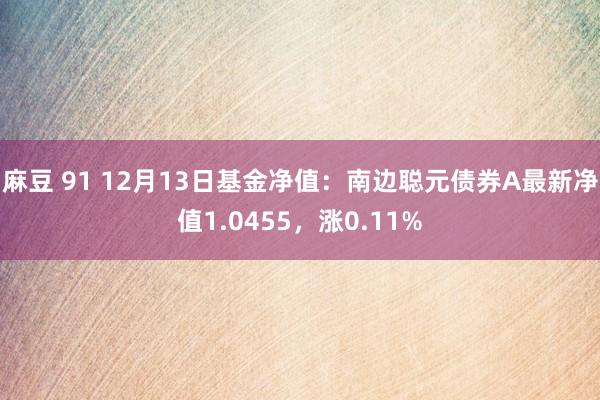 麻豆 91 12月13日基金净值：南边聪元债券A最新净值1.0455，涨0.11%