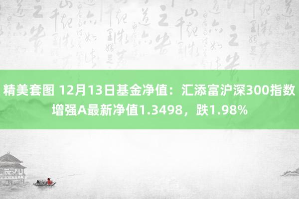 精美套图 12月13日基金净值：汇添富沪深300指数增强A最新净值1.3498，跌1.98%