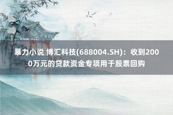 暴力小说 博汇科技(688004.SH)：收到2000万元的贷款资金专项用于股票回购