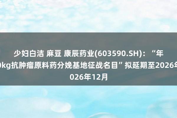 少妇白洁 麻豆 康辰药业(603590.SH)：“年产500kg抗肿瘤原料药分娩基地征战名目”拟延期至2026年12月