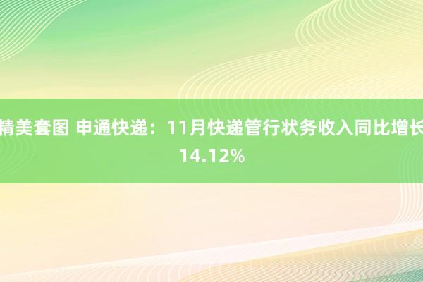 精美套图 申通快递：11月快递管行状务收入同比增长14.12%