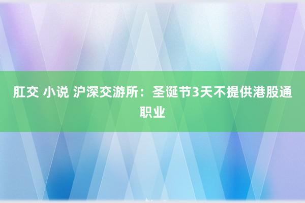 肛交 小说 沪深交游所：圣诞节3天不提供港股通职业