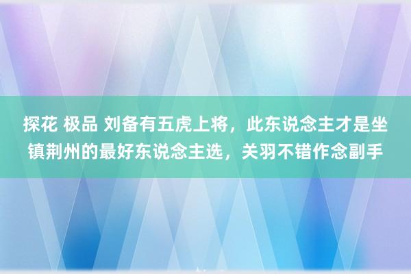 探花 极品 刘备有五虎上将，此东说念主才是坐镇荆州的最好东说念主选，关羽不错作念副手