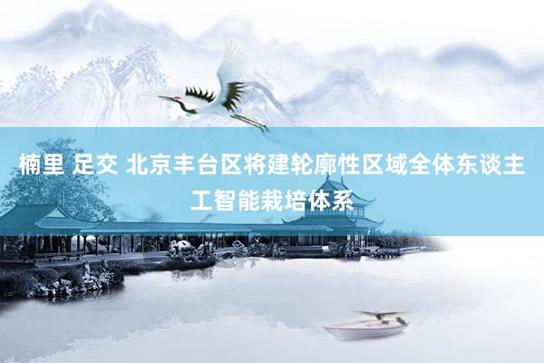 楠里 足交 北京丰台区将建轮廓性区域全体东谈主工智能栽培体系