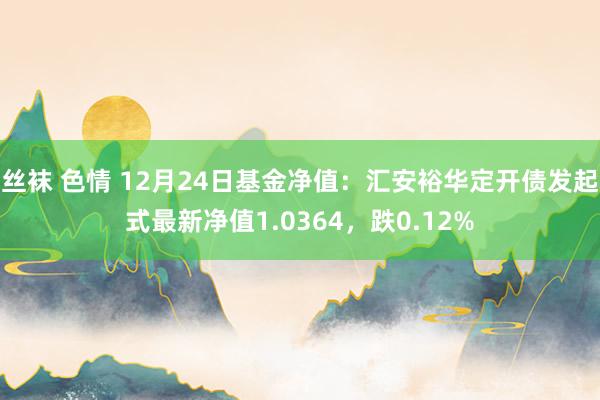 丝袜 色情 12月24日基金净值：汇安裕华定开债发起式最新净值1.0364，跌0.12%