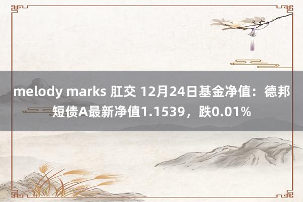 melody marks 肛交 12月24日基金净值：德邦短债A最新净值1.1539，跌0.01%