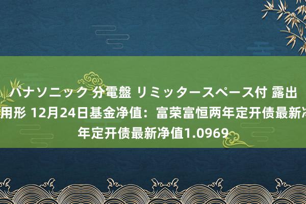 パナソニック 分電盤 リミッタースペース付 露出・半埋込両用形 12月24日基金净值：富荣富恒两年定开债最新净值1.0969