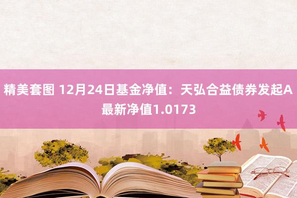 精美套图 12月24日基金净值：天弘合益债券发起A最新净值1.0173