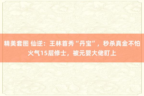 精美套图 仙逆：王林首秀“丹宝”，秒杀真金不怕火气15层修士，被元婴大佬盯上