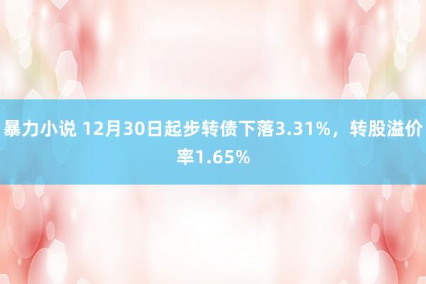 暴力小说 12月30日起步转债下落3.31%，转股溢价率1.65%