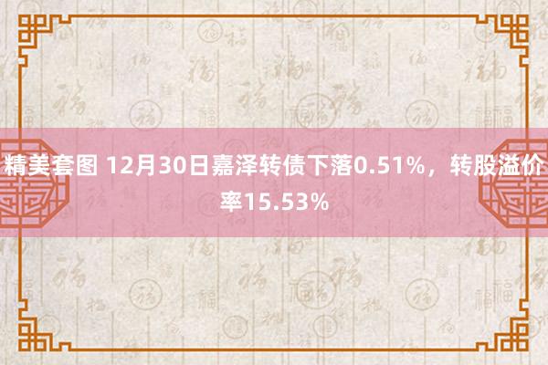 精美套图 12月30日嘉泽转债下落0.51%，转股溢价率15.53%