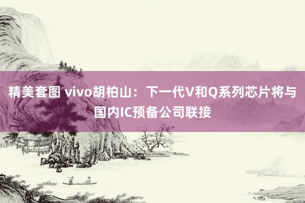 精美套图 vivo胡柏山：下一代V和Q系列芯片将与国内IC预备公司联接