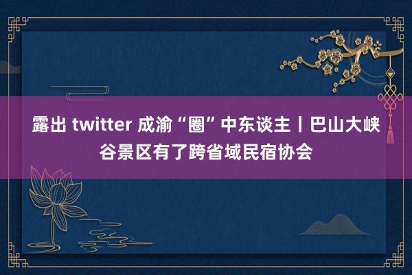 露出 twitter 成渝“圈”中东谈主丨巴山大峡谷景区有了跨省域民宿协会