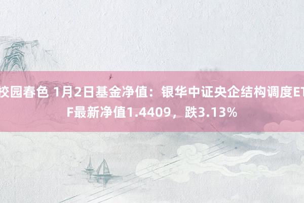 校园春色 1月2日基金净值：银华中证央企结构调度ETF最新净值1.4409，跌3.13%