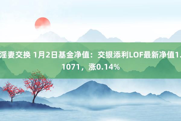 淫妻交换 1月2日基金净值：交银添利LOF最新净值1.1071，涨0.14%