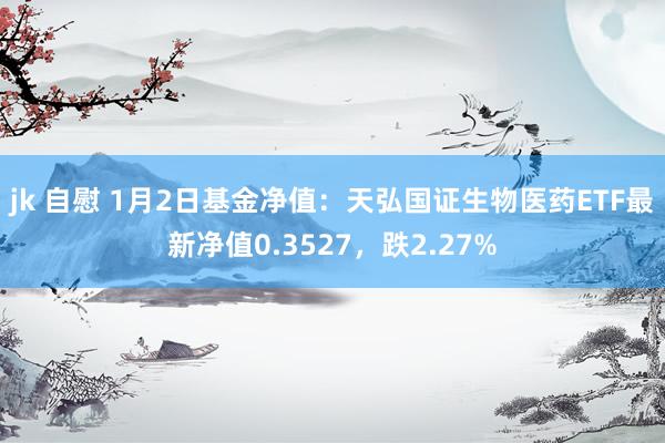 jk 自慰 1月2日基金净值：天弘国证生物医药ETF最新净值0.3527，跌2.27%