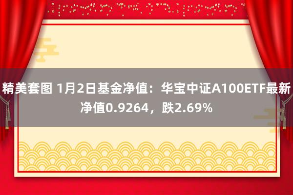 精美套图 1月2日基金净值：华宝中证A100ETF最新净值0.9264，跌2.69%