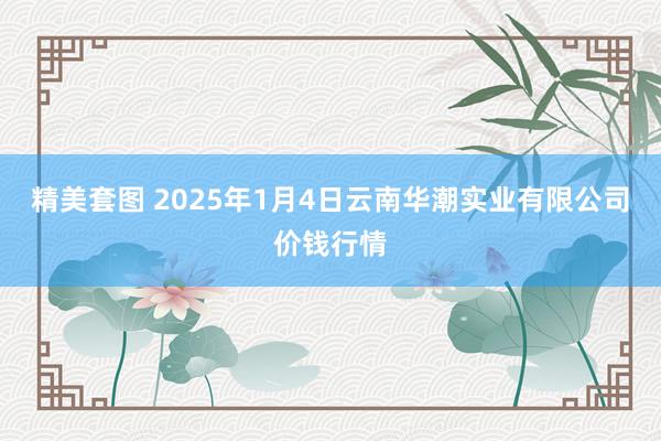 精美套图 2025年1月4日云南华潮实业有限公司价钱行情