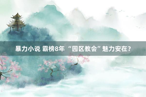 暴力小说 霸榜8年 “园区教会”魅力安在？