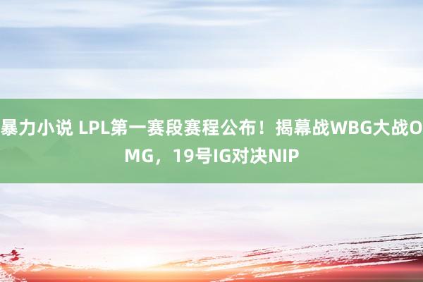 暴力小说 LPL第一赛段赛程公布！揭幕战WBG大战OMG，19号IG对决NIP