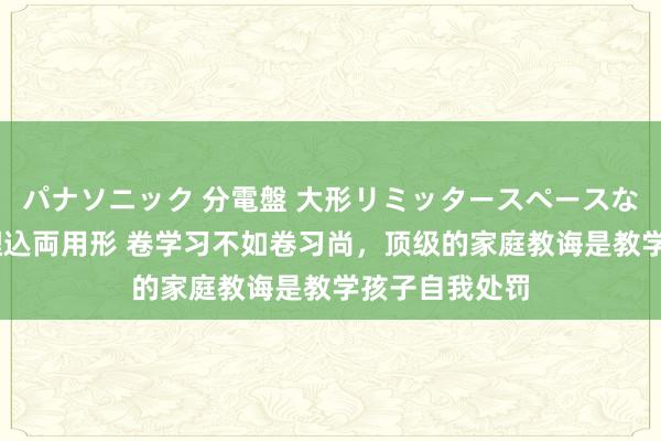 パナソニック 分電盤 大形リミッタースペースなし 露出・半埋込両用形 卷学习不如卷习尚，顶级的家庭教诲是教学孩子自我处罚