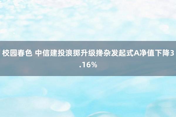 校园春色 中信建投浪掷升级搀杂发起式A净值下降3.16%