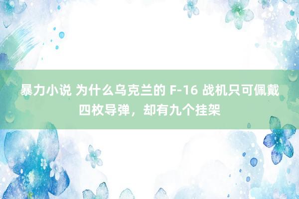 暴力小说 为什么乌克兰的 F-16 战机只可佩戴四枚导弹，却有九个挂架