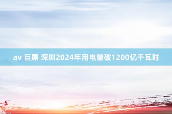 av 巨屌 深圳2024年用电量破1200亿千瓦时