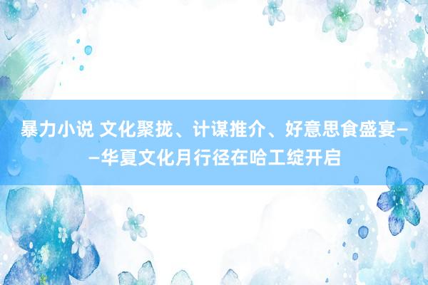 暴力小说 文化聚拢、计谋推介、好意思食盛宴——华夏文化月行径在哈工绽开启