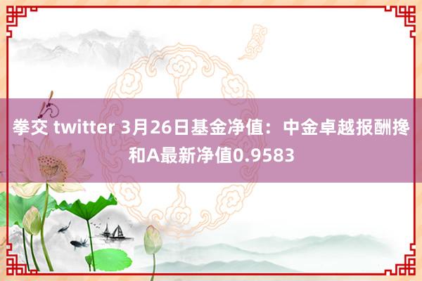 拳交 twitter 3月26日基金净值：中金卓越报酬搀和A最新净值0.9583