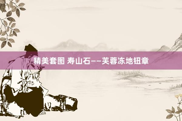 精美套图 寿山石——芙蓉冻地钮章